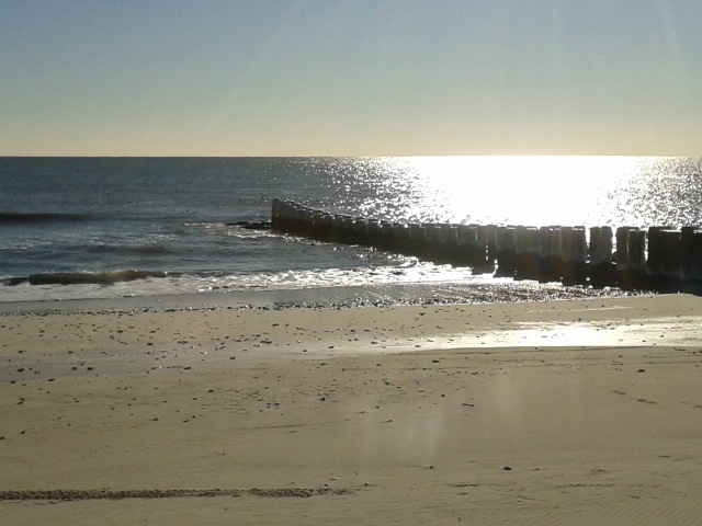 Winter Beach One 1-08-2014