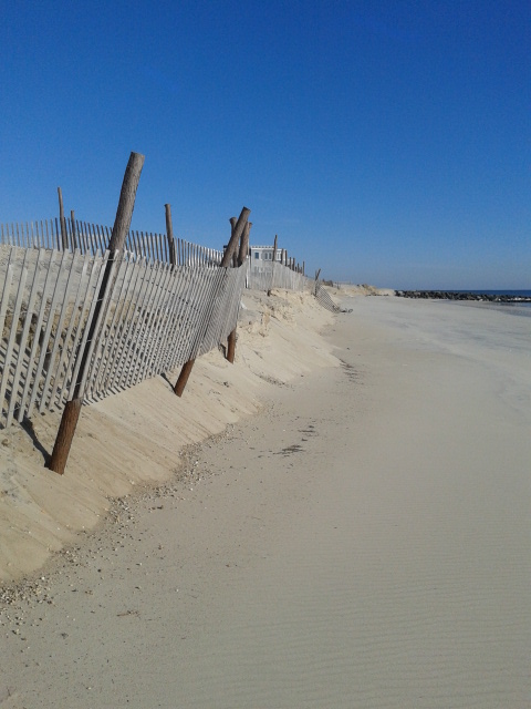 Winter Beach One 1-8-2014